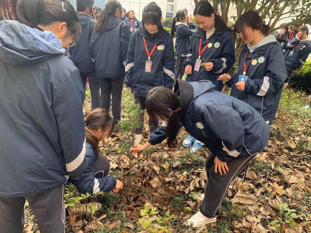 植树2.jpg