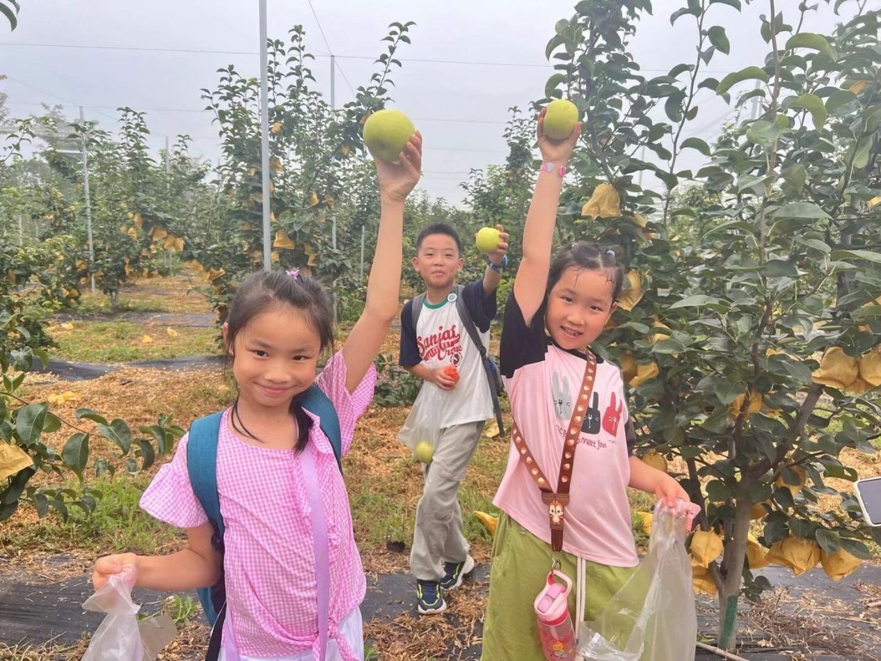 QQ图片20230717101452