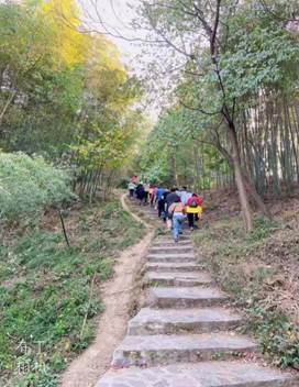 说明: 微信图片_201911010913391.jpg
