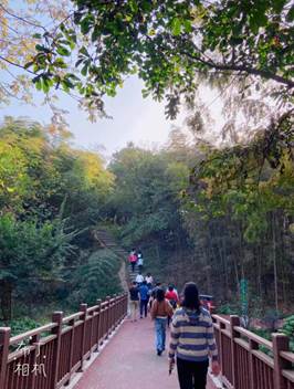 说明: 微信图片_20191101090043.jpg